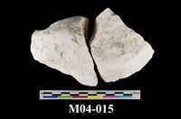 藏品(白堊)的圖片